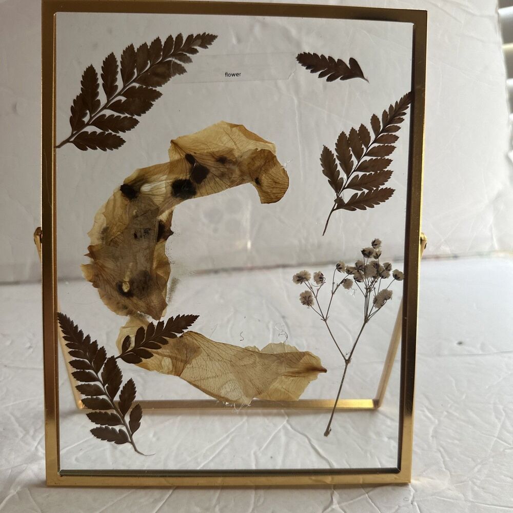 Double Glass Frame Pressed Flowers, Leaf and Artwork,Gold Standing Frame Metal